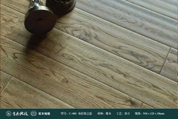 布拉格之戀